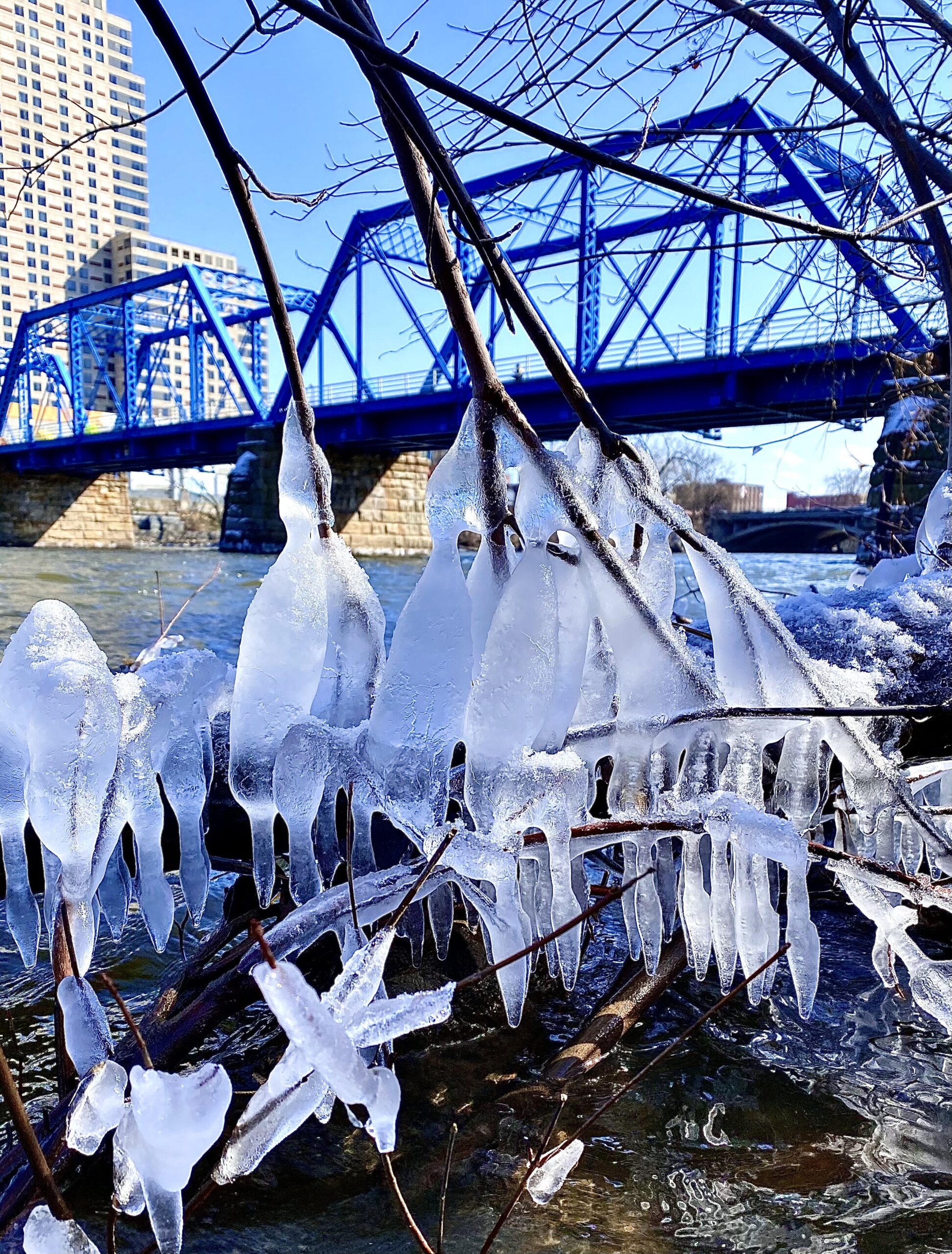 Bomb Cyclone