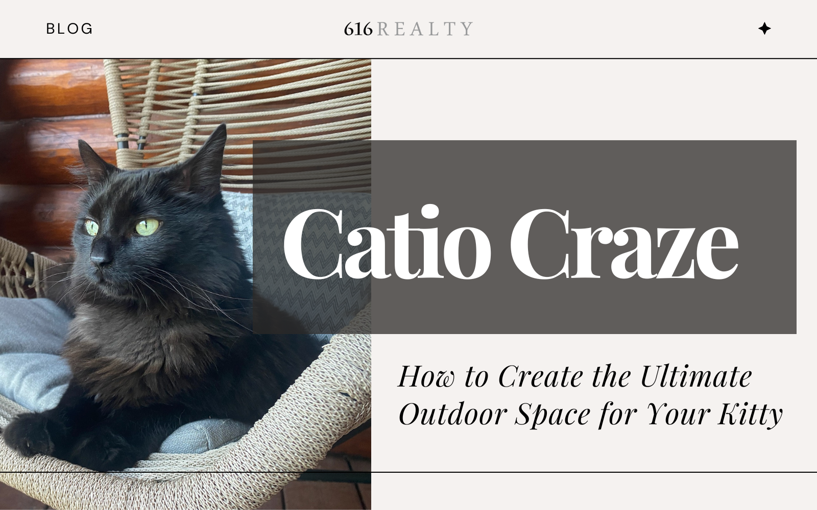 Catio Craze Catio Craze