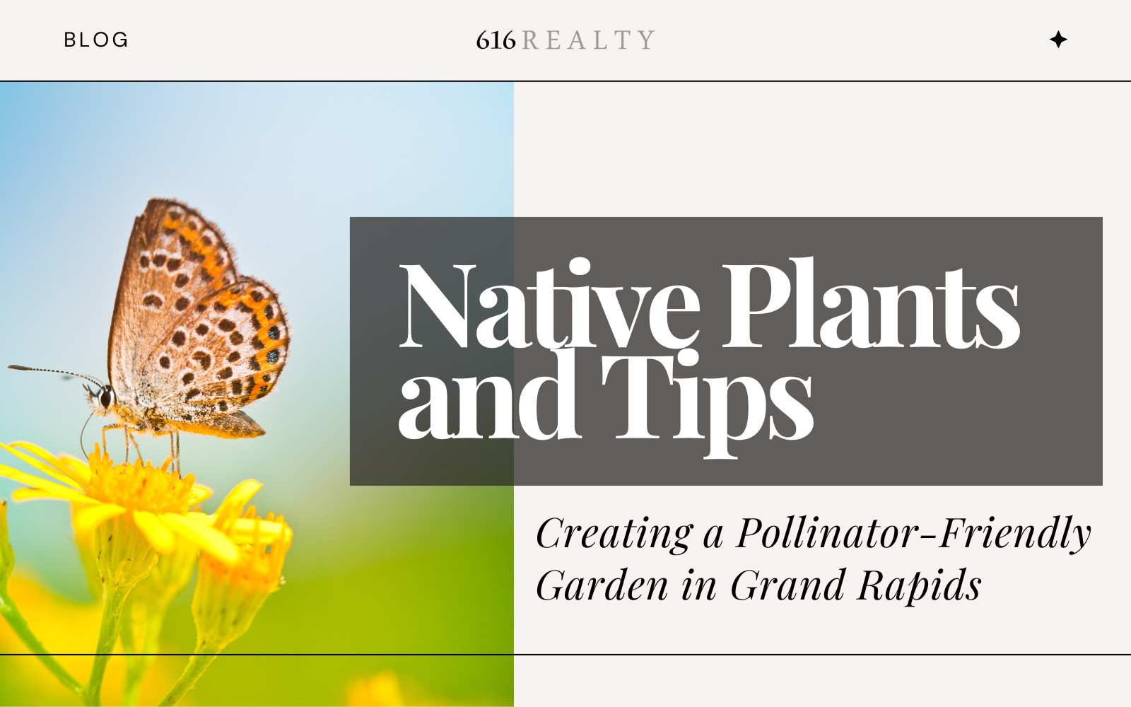 Creating a Pollinator-Friendly Garden in Grand Rapids Native Plants and Tips-2 Creating a Pollinator-Friendly Garden in Grand Rapids Native Plants and Tips-2